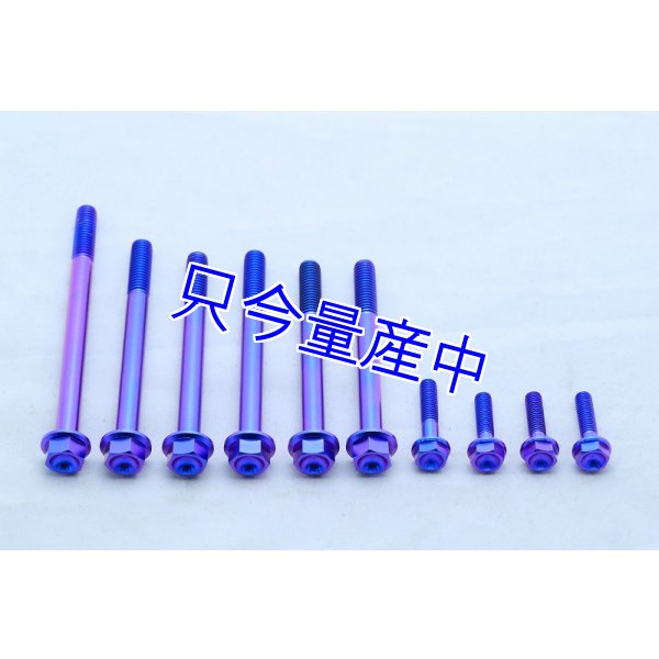チタンクランクケースボルトセット - T2Racing ON-LINE SHOP