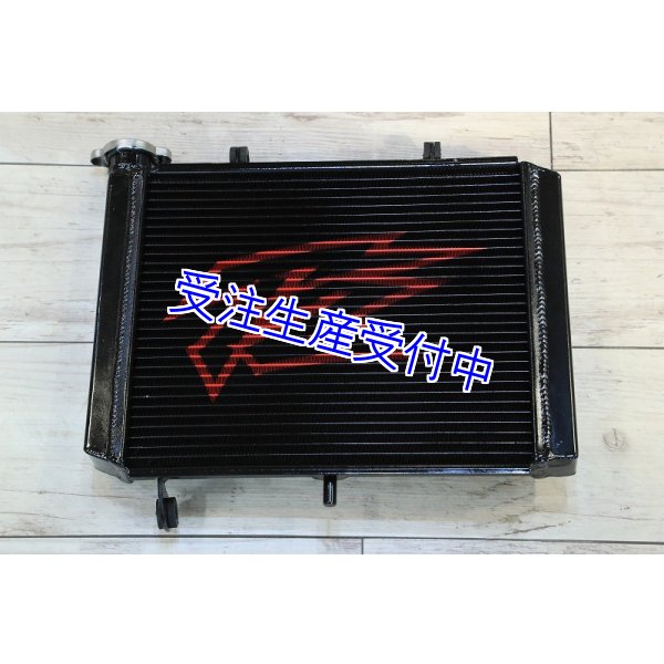 画像1: 1層 ラジエター  Painted 【 MC18 】 (1)