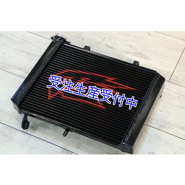 画像3: 1層 ラジエター  Painted 【 MC18 】 (3)