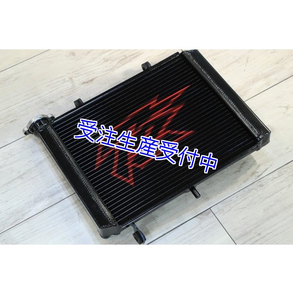 画像2: 1層 ラジエター  Painted 【 MC18 】 (2)