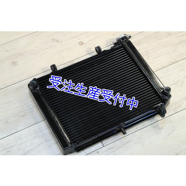 画像5: 1層 ラジエター  Painted 【 MC18 】 (5)