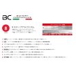 画像8: BC Battery Controller バッテリーチャージャー＆テスター 【 BC BRAVO 2000+ 】 (8)